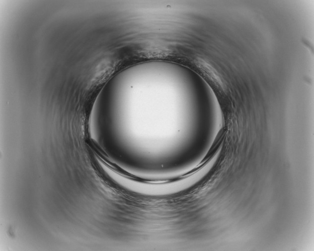 X0000094360501200711021512