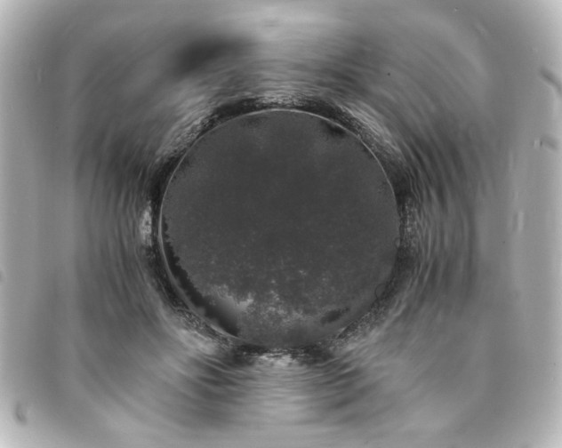 X0000094360502200711021512