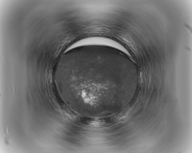 X0000094360504200711021512