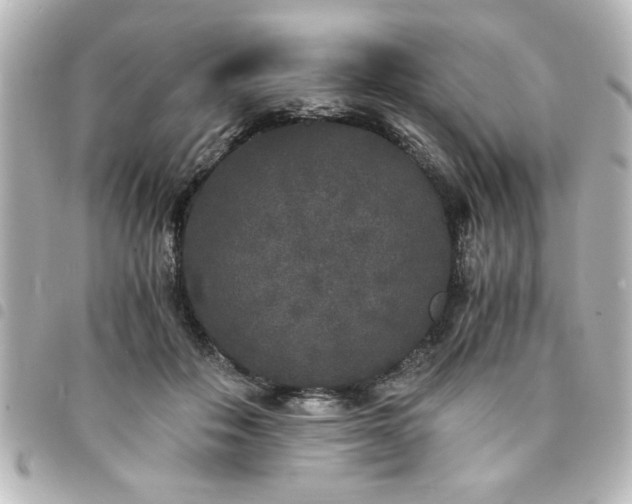 X0000094360506200711021512