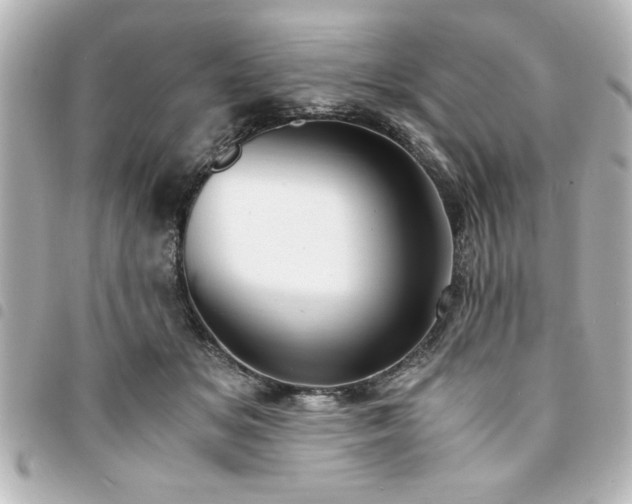 X0000094360509200711021512
