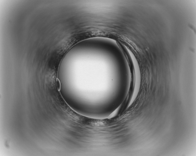 X0000094360513200711021512