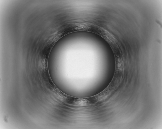 X0000094360514200711021512