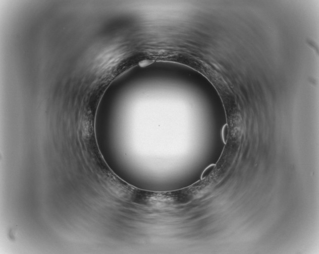 X0000094360515200711021512