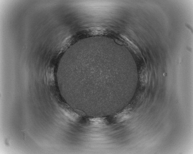 X0000094360516200711021512