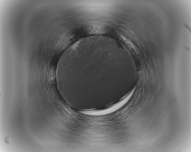 X0000094360517200711021512