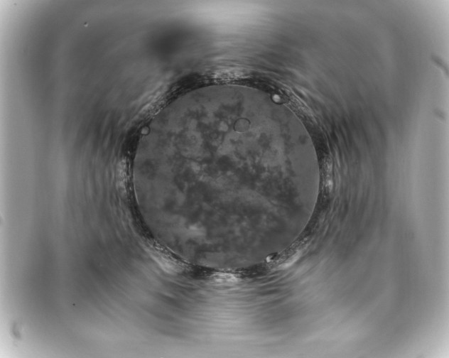 X0000094360519200711021512