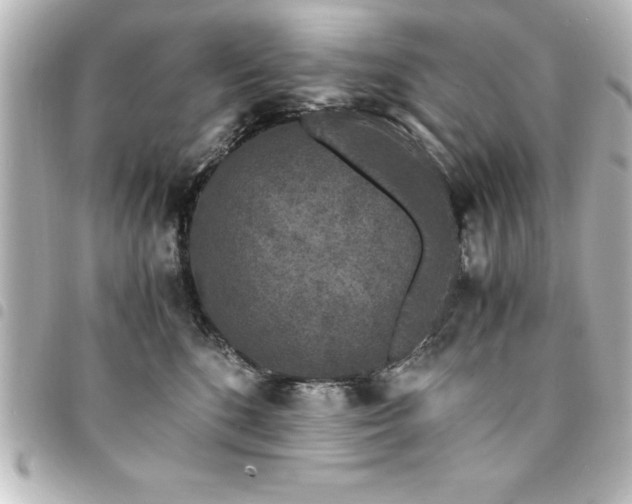 X0000094360520200711021512
