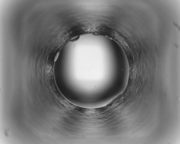 X0000094360521200711021512