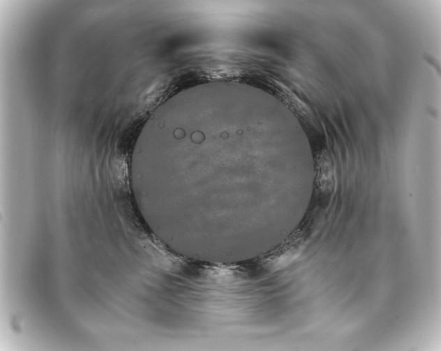 X0000094360523200711021512