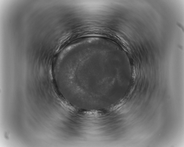X0000094360524200711021512