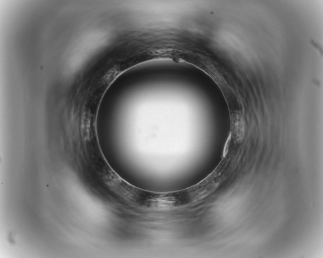 X0000094360525200711021512