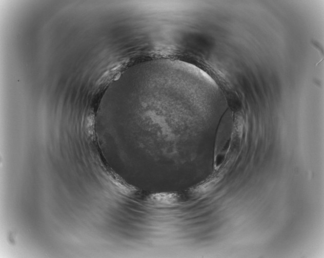 X0000094360526200711021512