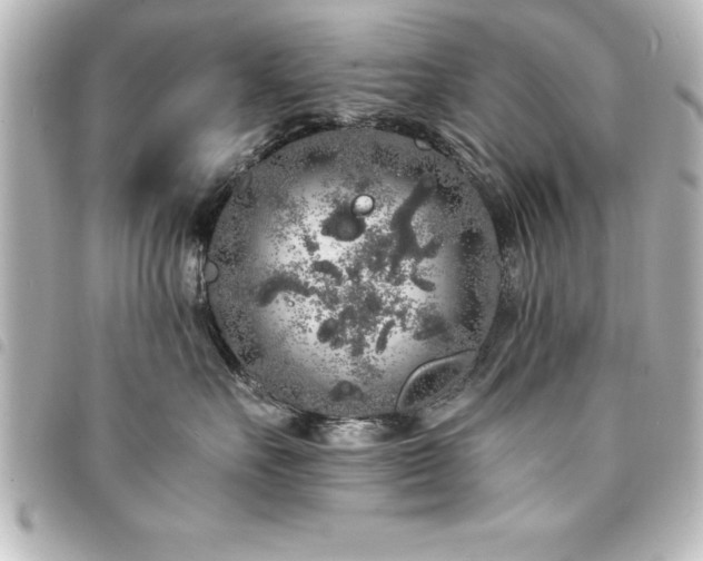 X0000094360527200711021512