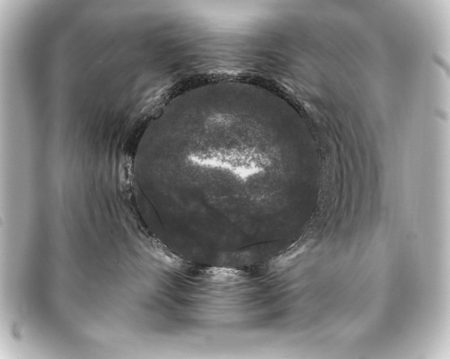 X0000094360528200711021512