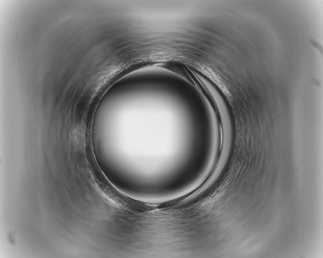 X0000094360530200711021511