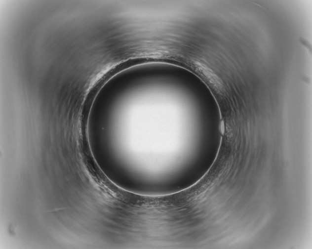X0000094360532200711021511