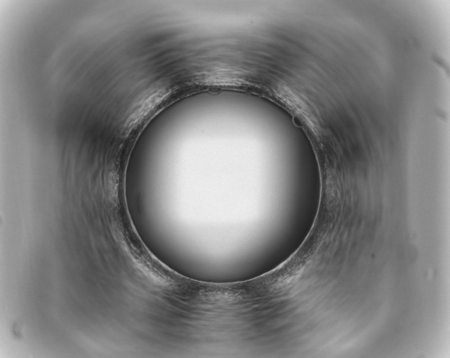 X0000094360533200711021511