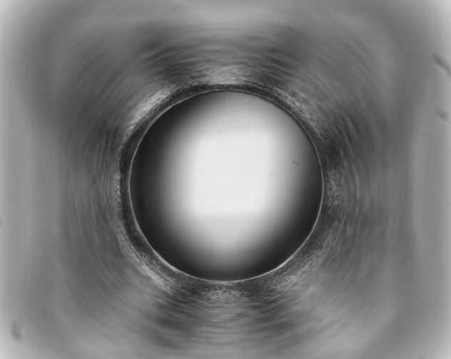 X0000094360535200711021511