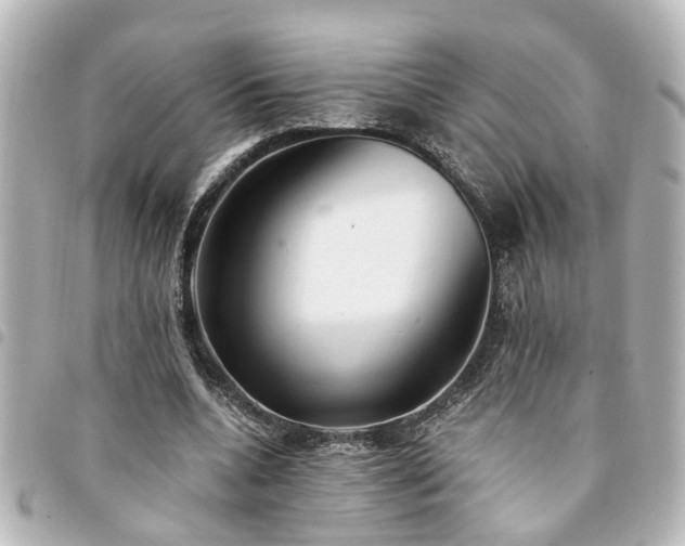 X0000094360536200711021511