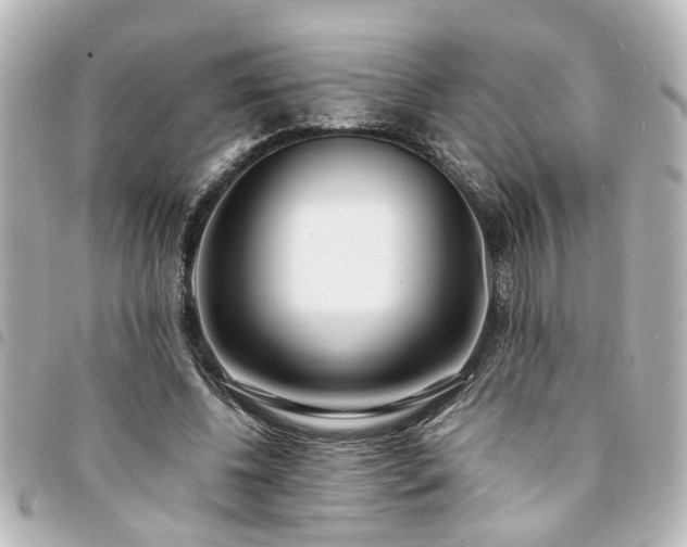 X0000094360540200711021511