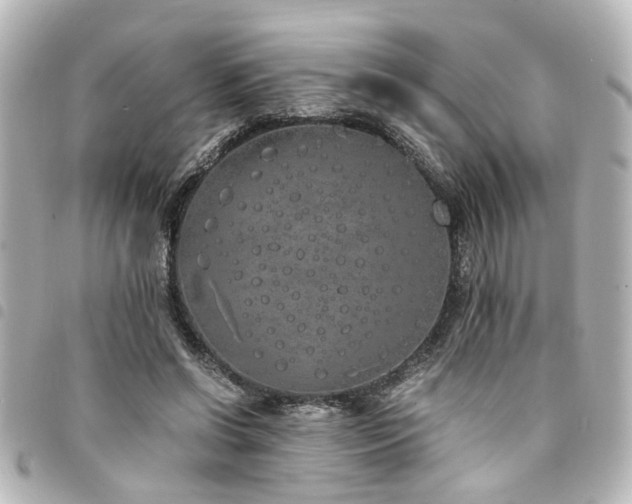 X0000094360542200711021511