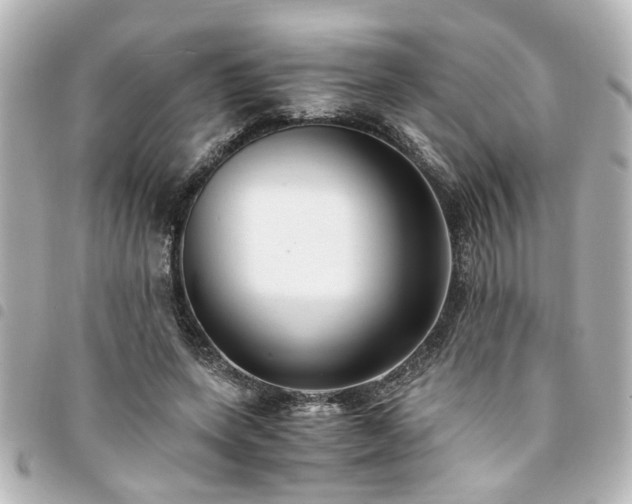 X0000094360543200711021511