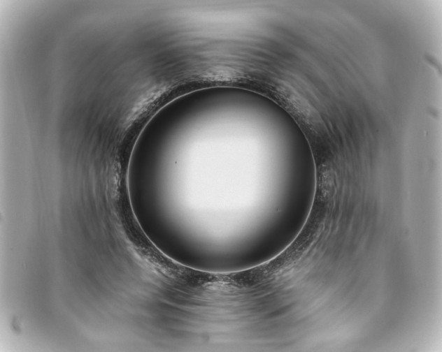 X0000094360544200711021511