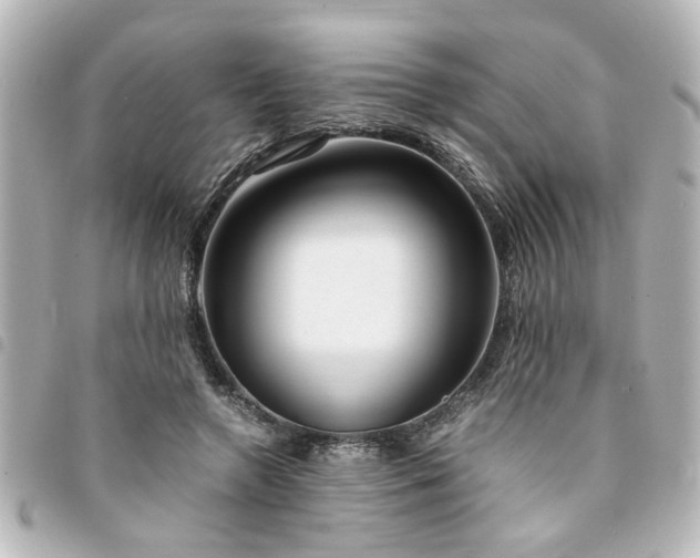 X0000094360546200711021511