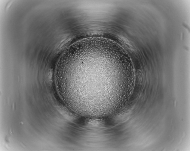 X0000094360550200711021512