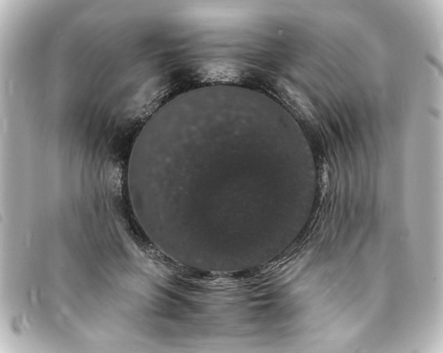 X0000094360551200711021512