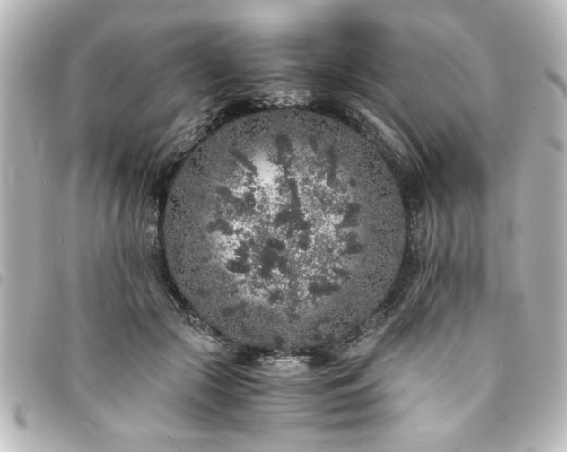 X0000094360553200711021512