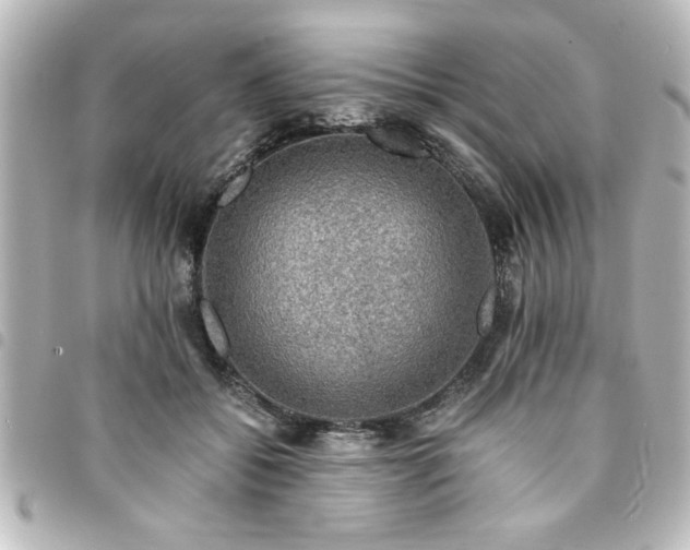 X0000094360556200711021512