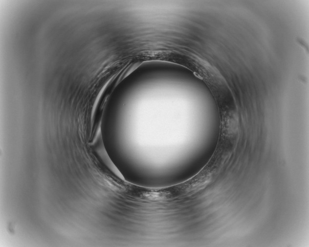 X0000094360558200711021512