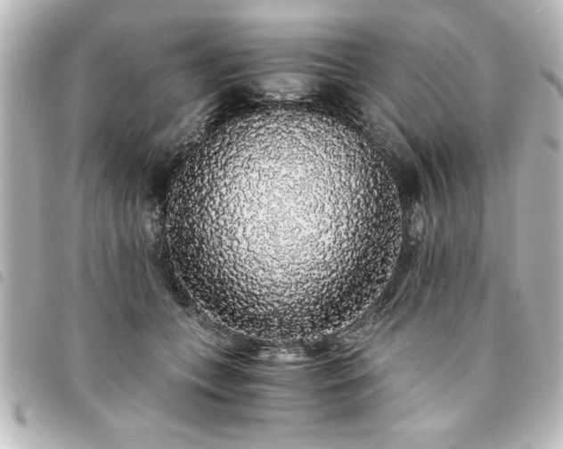 X0000094360559200711021512