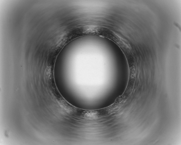 X0000094360560200711021512
