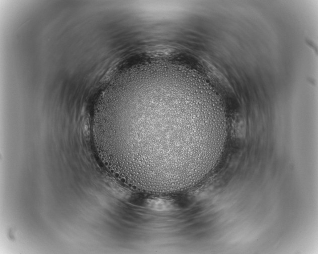 X0000094360561200711021512