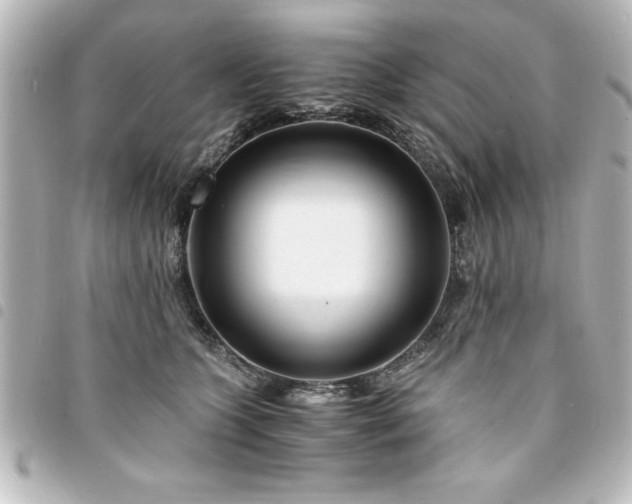 X0000094360563200711021512