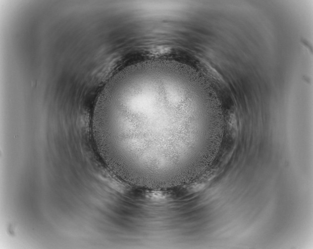 X0000094360565200711021512