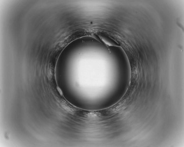X0000094360566200711021512