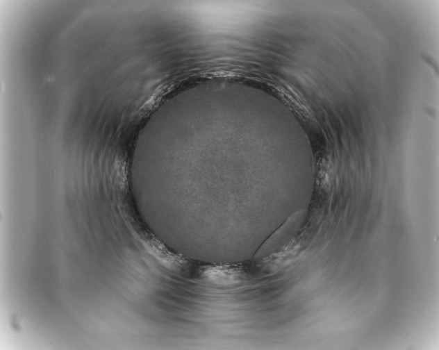 X0000094360568200711021512