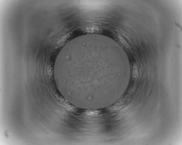 X0000094360569200711021512