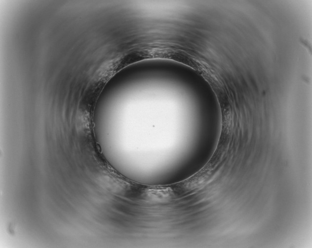 X0000094360571200711021512