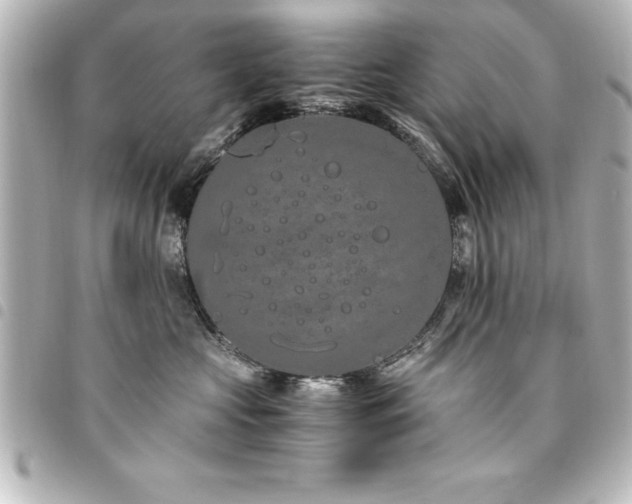 X0000094360573200711021512