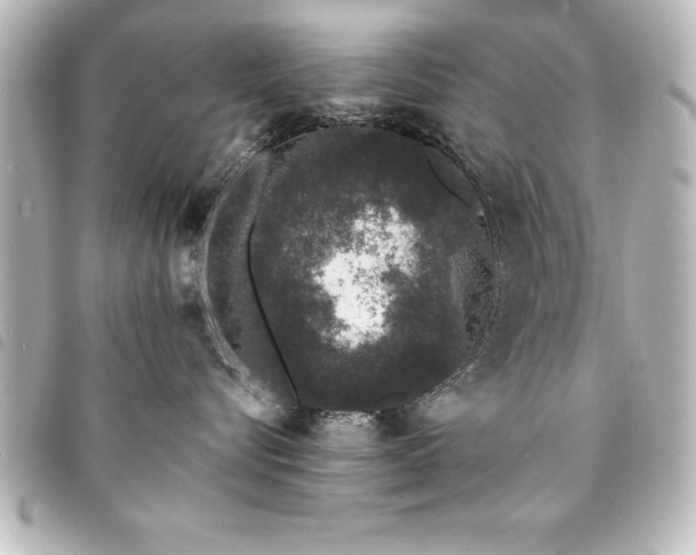 X0000094360576200711021512