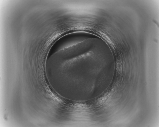 X0000094360577200711021511