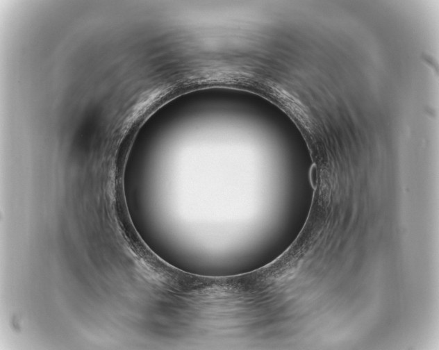 X0000094360578200711021511