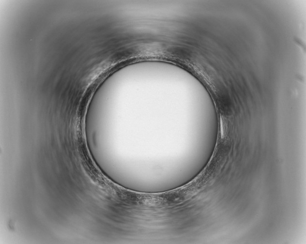 X0000094360579200711021511