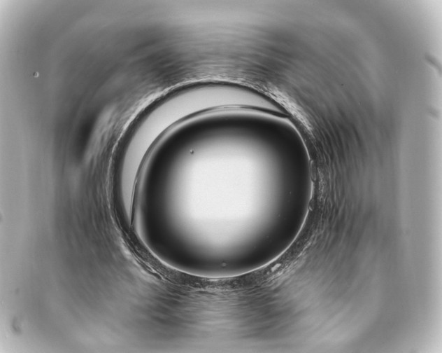 X0000094360580200711021511