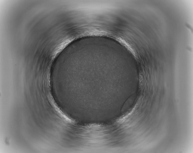 X0000094360581200711021511